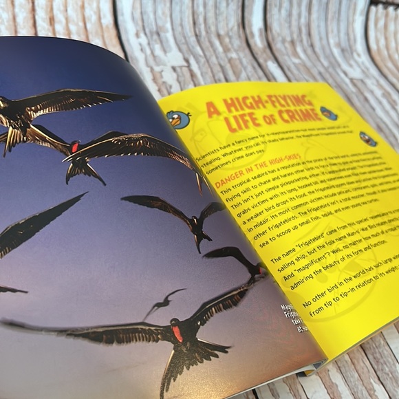 National Geographic: Angry Birds - Picture 5 of 8